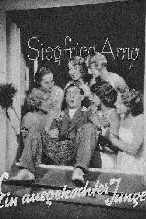 Póster de Ein ausgekochter Junge