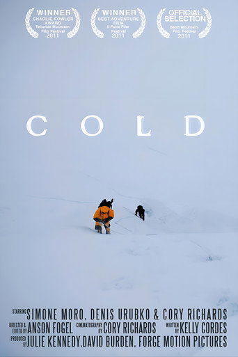 Póster de Cold