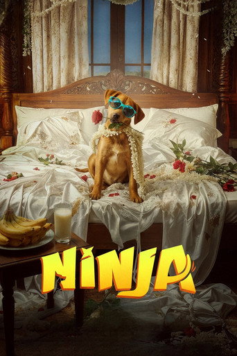 Póster de Ninja