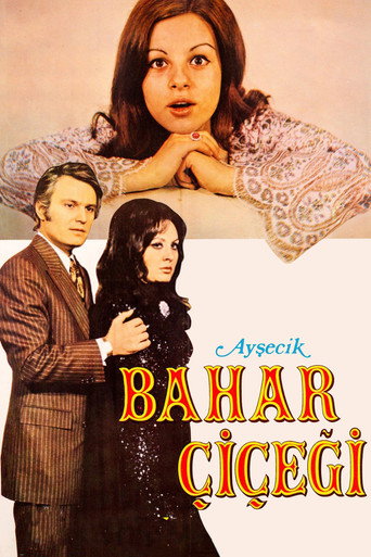 Póster de Ayşecik: Bahar Çiçeği