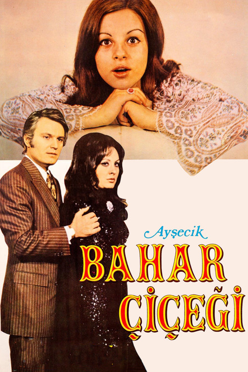Póster de Ayşecik: Bahar Çiçeği