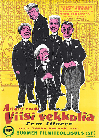 Póster de Viisi vekkulia