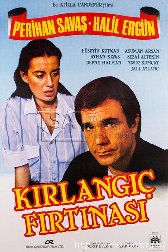 Póster de Kırlangıç Fırtınası