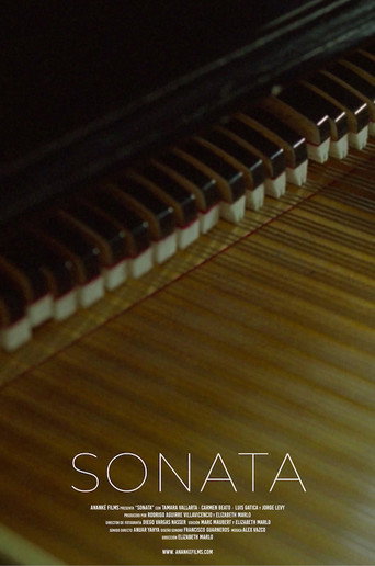 Póster de Sonata