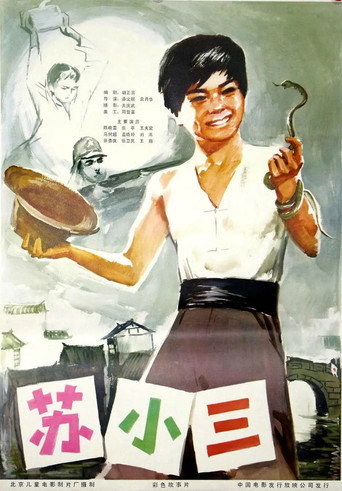 Póster de 苏小三