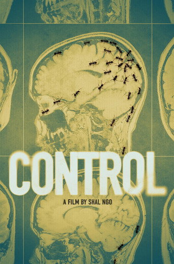 Póster de Control