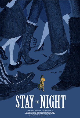 Póster de Stay The Night