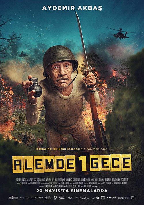 Póster de Alemde Bir Gece