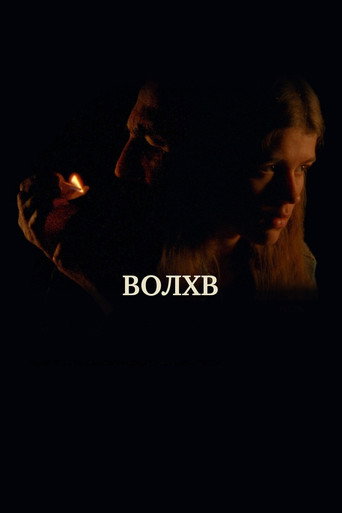 Póster de Волхв