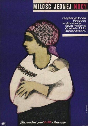 Póster de O dragoste lungă de o seară