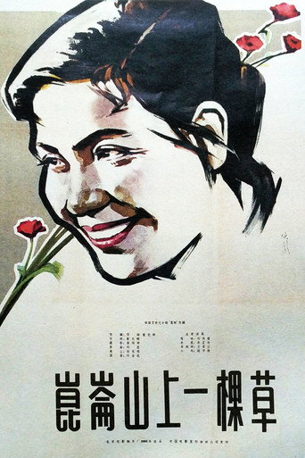 Póster de 昆仑山上一棵草