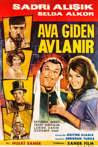 Póster de Ava Giden Avlanır