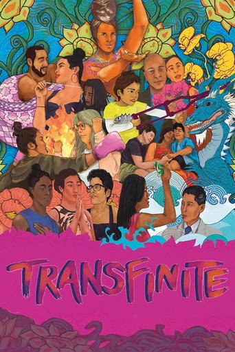 Póster de Transfinite