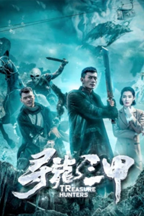 Póster de 寻龙三甲