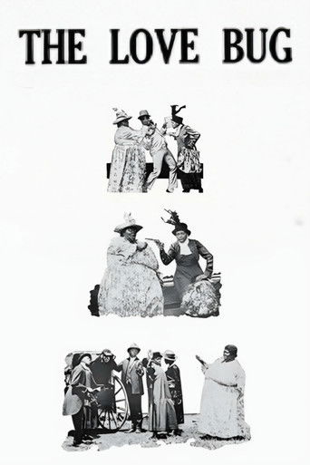 Póster de The Love Bug