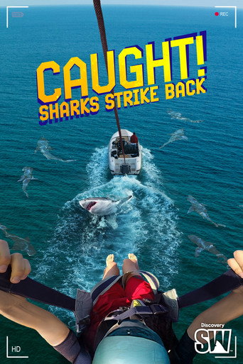 Póster de Caught! Sharks Strike Back