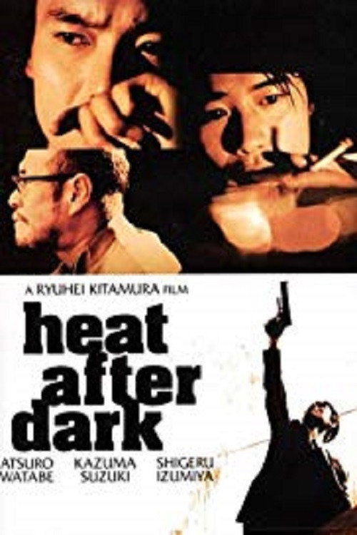 Póster de Heat After Dark
