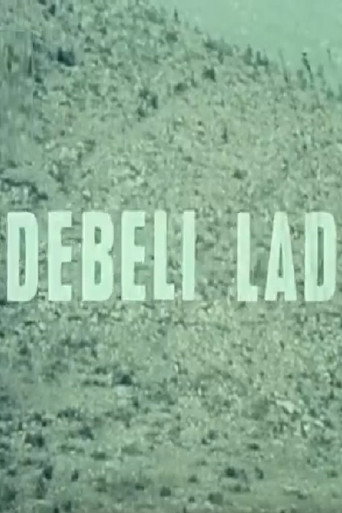 Póster de Debeli lad
