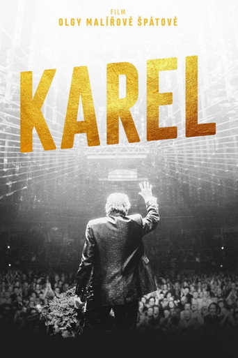 Póster de Karel