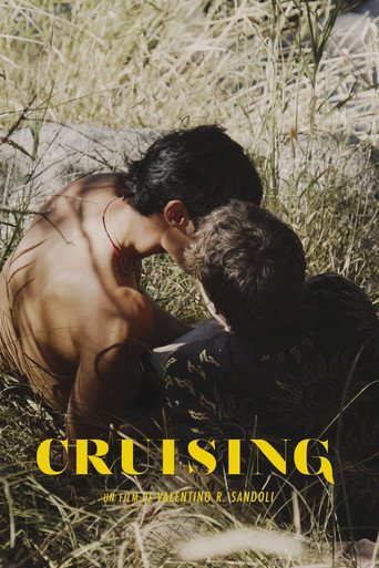 Póster de Cruising