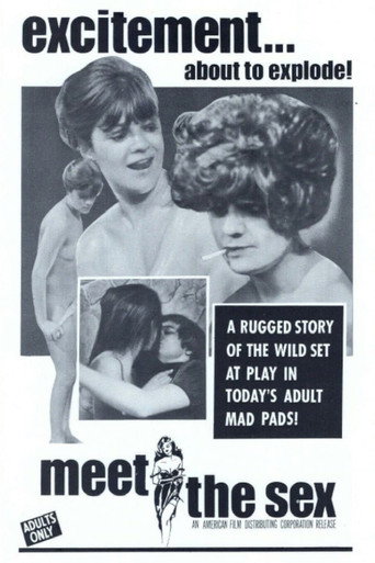 Póster de Meet The Sex
