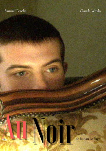 Póster de Au noir
