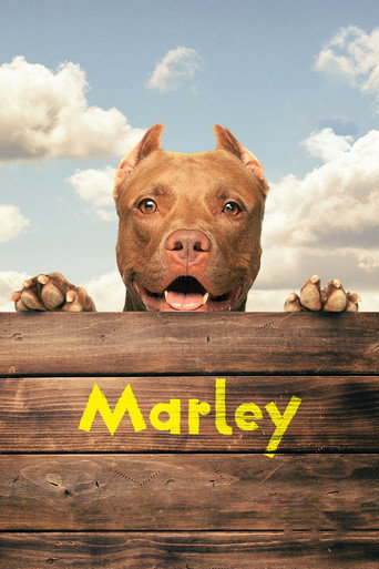 Póster de Marley
