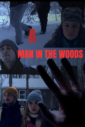 Póster de A Man in The Woods