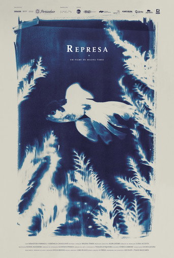 Póster de Represa