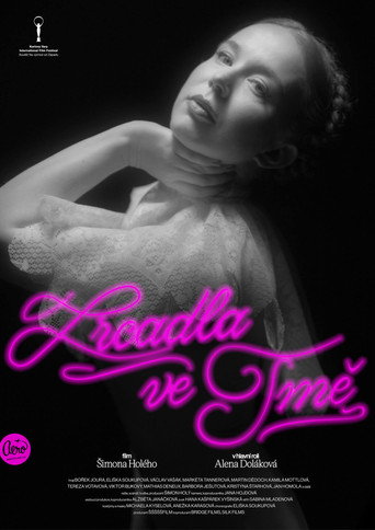 Póster de Zrcadla ve tmě