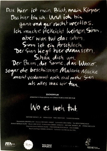 Póster de Wo es weh tut