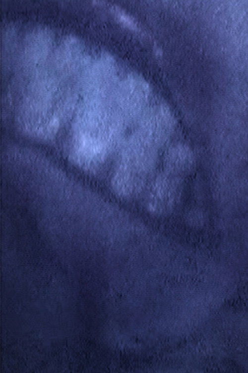 Póster de NOTHING GOSE