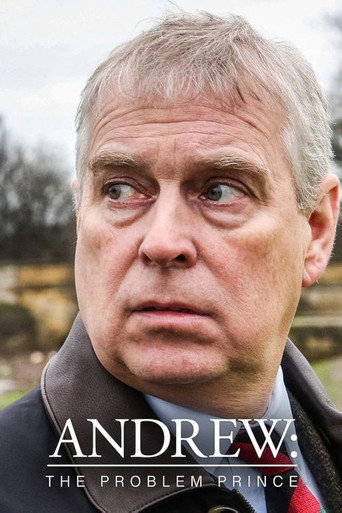 Póster de Andrew: The Problem Prince