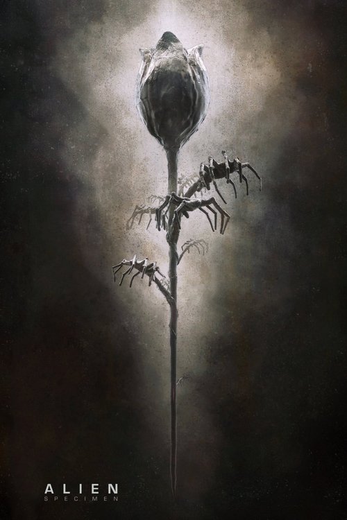 Póster de Alien: Specimen