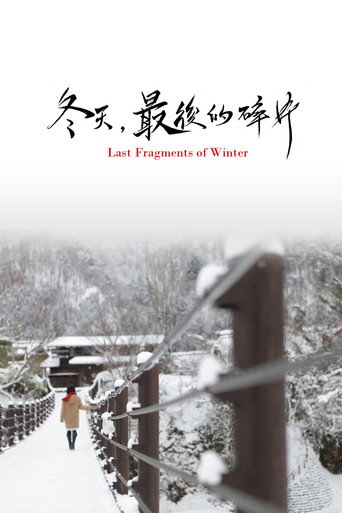 Póster de 冬天，最后的碎片