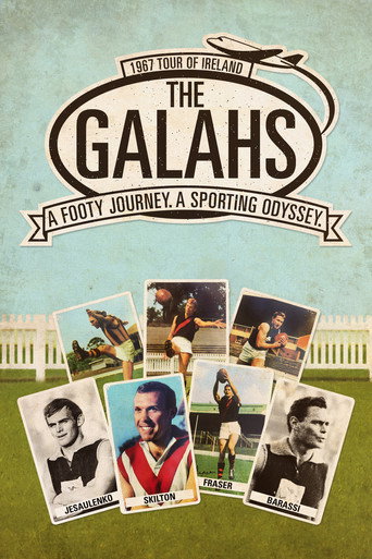 Póster de The Galahs