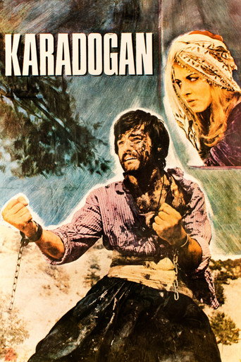 Póster de Kara Doğan