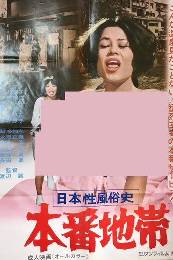 Póster de 日本性風俗史 本番地帯
