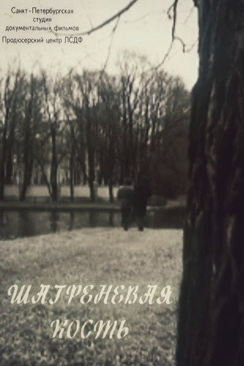 Póster de Шагреневая кость