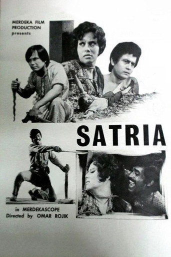 Póster de Satria