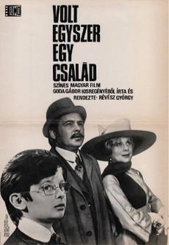 Póster de Volt egyszer egy család