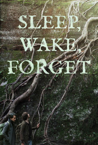 Póster de Sleep, Wake, Forget