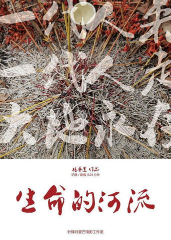 Póster de 生命的河流