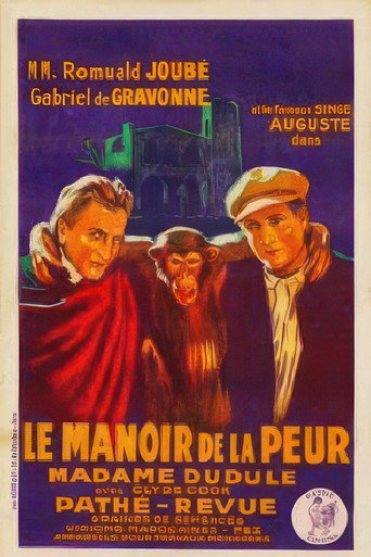 Póster de Le Manoir de la peur