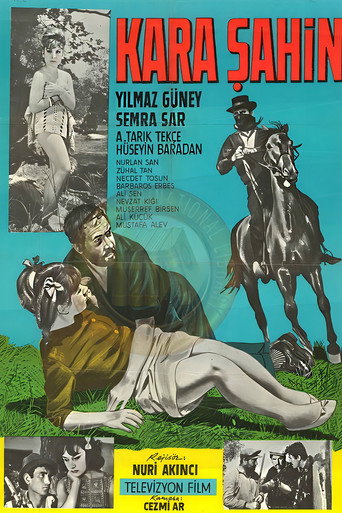 Póster de Kara Şahin
