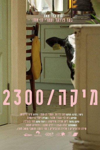 Póster de מיקה 2300