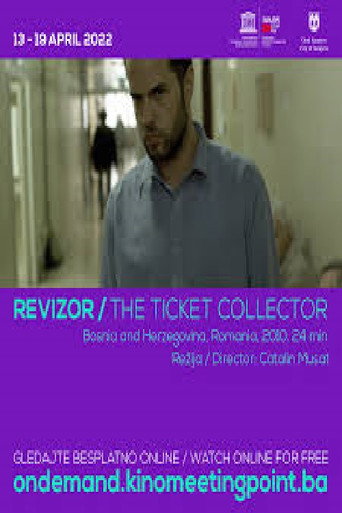 Póster de Revizor