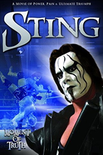 Póster de Sting: Moment of Truth