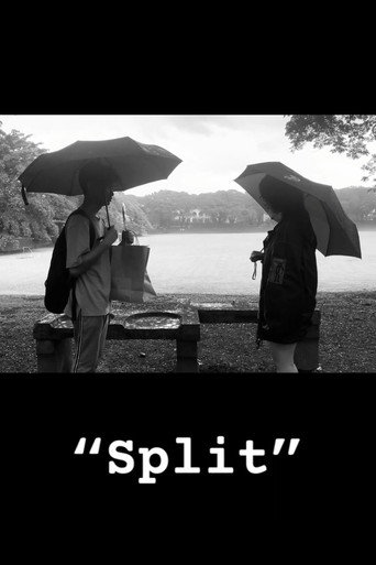 Póster de Split