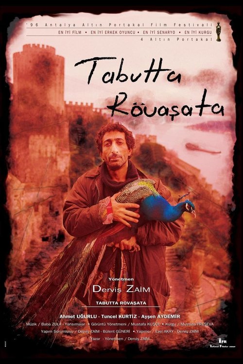 Póster de Tabutta Rövaşata